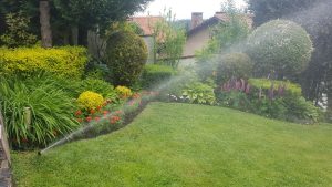 Поддръжка на двор в Княжево