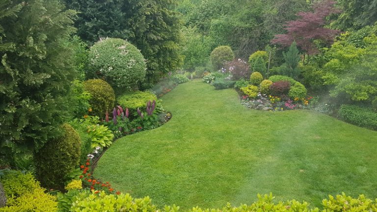 Поддръжка на двор в Княжево