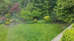 Поддръжка на двор в Княжево