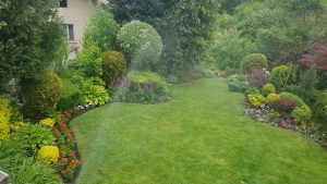 Поддръжка на двор в Княжево