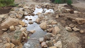 Декоративно езеро в Георги Дамяново