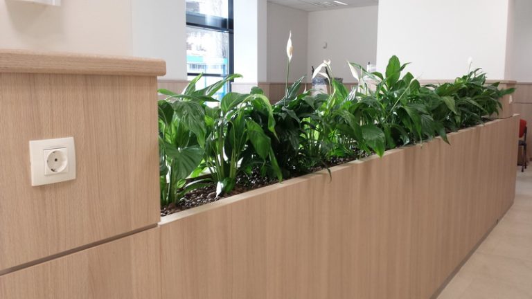 интериорно озеленяване на Банка ДСК ОЦ Люлин