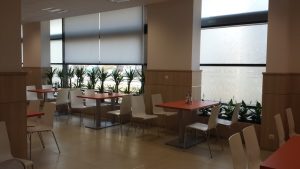 интериорно озеленяване на Банка ДСК ОЦ Люлин