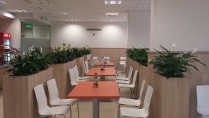 интериорно озеленяване на Банка ДСК ОЦ Люлин