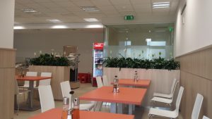 интериорно озеленяване на Банка ДСК ОЦ Люлин