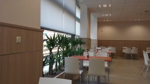 интериорно озеленяване на Банка ДСК ОЦ Люлин