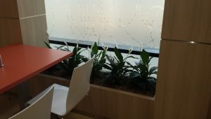 интериорно озеленяване на Банка ДСК ОЦ Люлин