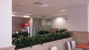 интериорно озеленяване на Банка ДСК ОЦ Люлин