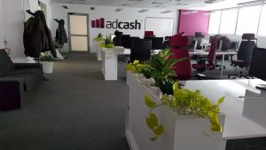интериорно озеленяване на офис на Адкеш България в Mall of Bulgaria