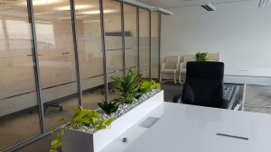 интериорно озеленяване на офис на Адкеш България в Mall of Bulgaria