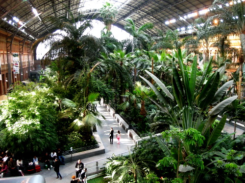 Как се прави градина на закрито.