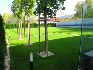 Озеленяване на двор в кв. Бояна (4), София