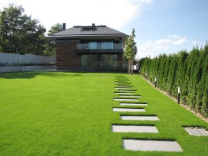 Озеленяване на двор в кв. Бояна (4), София