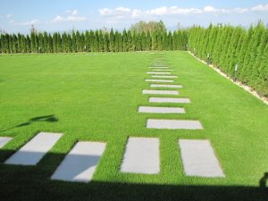 Озеленяване на двор в кв. Бояна (4), София