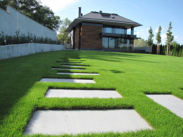 Озеленяване на двор в кв. Бояна (4), София