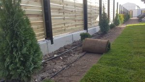 Озеленяване в Бусманци 3