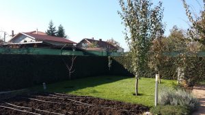 Озеленяване на вила в с. Голяновци