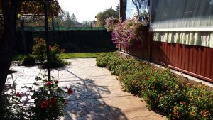 Озеленяване на вила в с. Голяновци