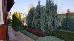 Озеленяване на вила в с. Голяновци