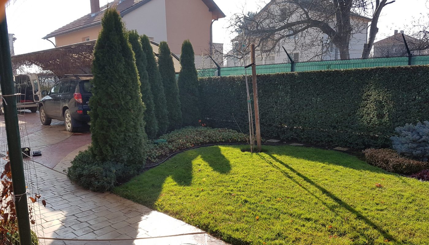 Озеленяване на вила в с. Голяновци