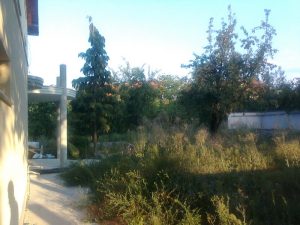 Озеленяване на двор в кв. Малинова долина