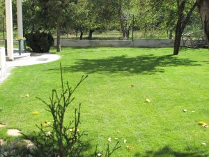 Озеленяване на двор в кв. Малинова долина