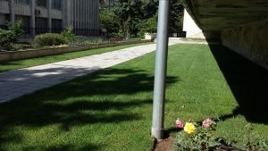 Реконструкция на зелените площи на посослството на Япония