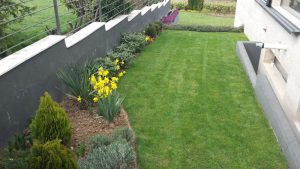 Озеленяване на двор в кв. Бояна – 7, София