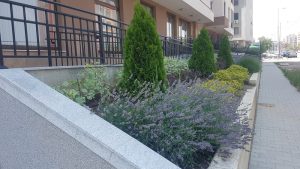 Озеленяване в Студентски град