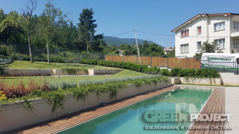 Озеленяване на двор в Бояна 10