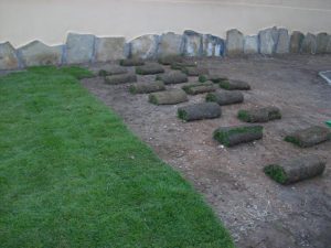 озеленяване на двор в кв. Бояна 2 – етап 1