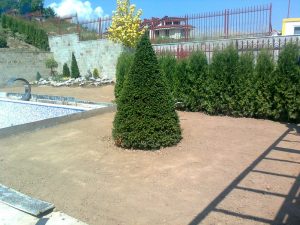 Озеленяване на двор в кв. Бояна (3) – етап 2