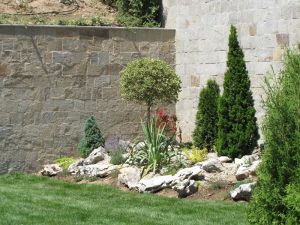 Озеленяване на двор в кв. Бояна (3) – етап 2