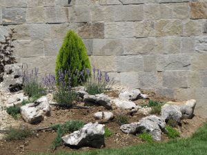 Озеленяване на двор в кв. Бояна (3) – етап 2