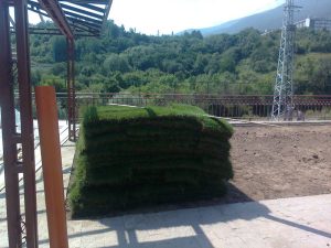 Озеленяване на двор в кв. Бояна (3) – етап 2