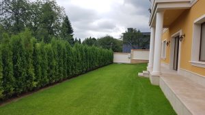 Озеленяване на двор в кв. Бояна 9