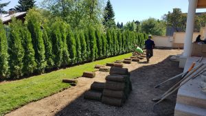 Озеленяване на двор в кв. Бояна 9