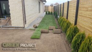 Озеленяване в Бусманци 3