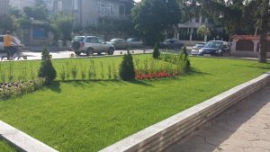Озеленяване на центъра на с. Мрамор