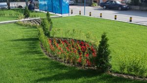 Озеленяване на центъра на с. Мрамор