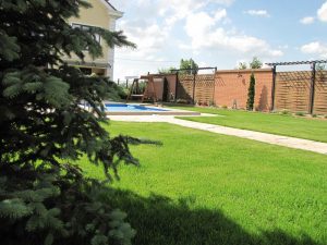 Затревяване на двор в кв. Бусманци