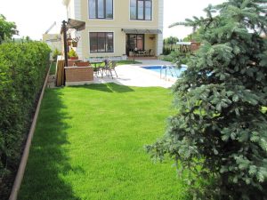 Затревяване на двор в кв. Бусманци