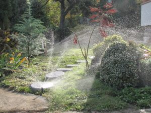 Поливна система в кв. Павлово