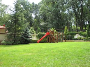 Поддръжка на двор в гр. Банкя (4)