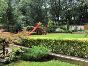 Поддръжка на двор в гр. Банкя (4)