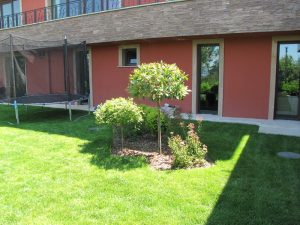 Поддръжка на двор в София, кв. Бояна