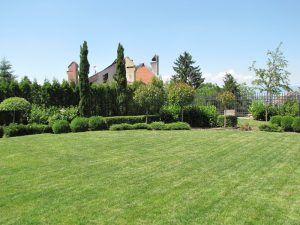 Поддръжка на двор в София, кв. Бояна