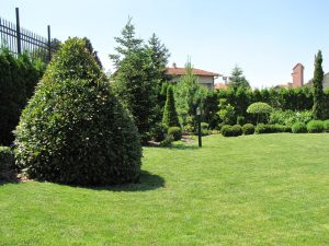 Поддръжка на двор в София, кв. Бояна