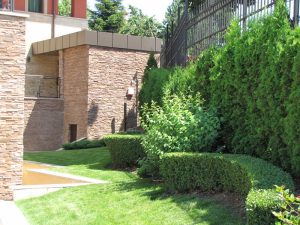 Поддръжка на двор в София, кв. Бояна