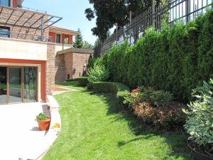 Поддръжка на двор в София, кв. Бояна